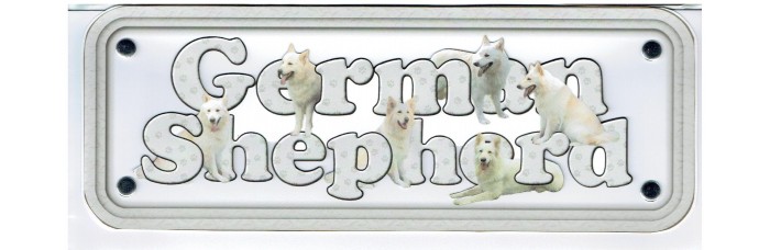 German Shepherd - white